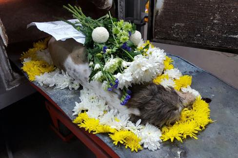 オプションでお花の追加をお願いできます（RM20、犬のまわりにあるお花)。エイミーが届けてくれたお花や子どもたちが描いた絵などを一緒に火葬してもらいました。
